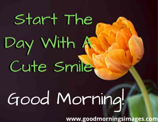 Good morning shayari pictures Good morning shayari pictures