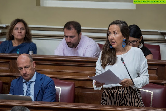 Labrador: “El PP lo tiene claro: queremos un desarrollo sostenible para las Islas Verdes”