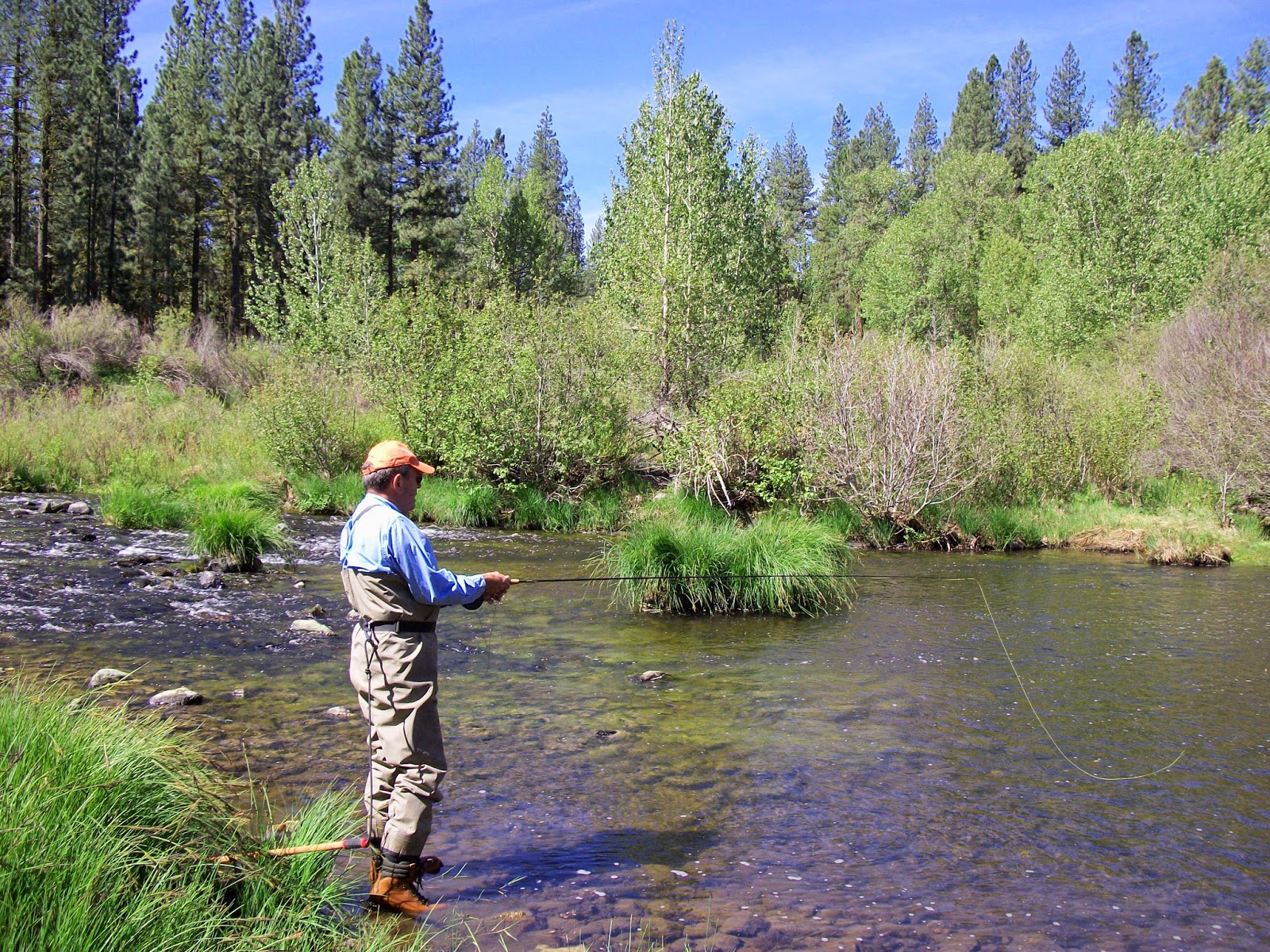 Jon Baiocchi Fly Fishing News Middle Fork Feather River Fishing Report
