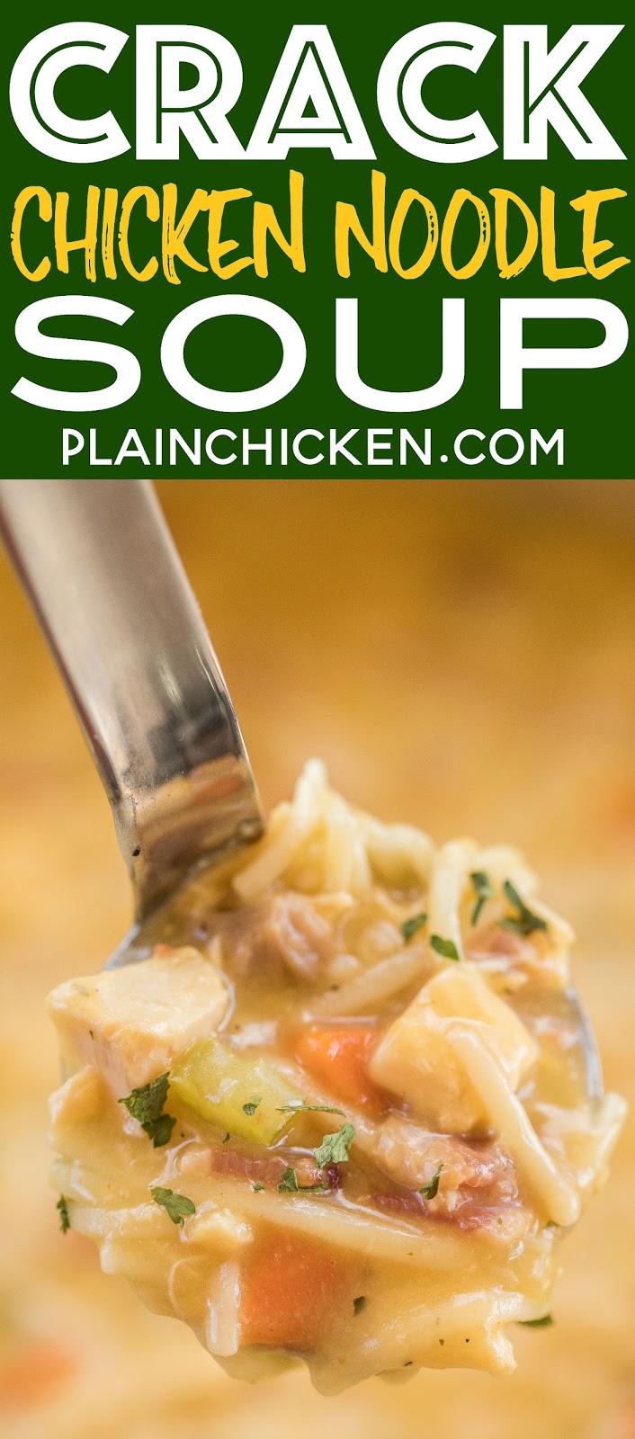 Crack Chicken Noodle Soup | Plain Chicken®