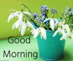 images of good morning