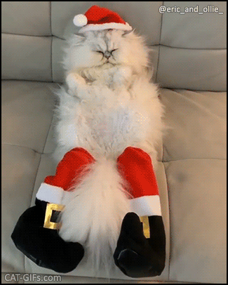 Christmas Cat GIF • ‘Eric’ the fluffiest Santa cat ever is tired, resting his paws for the big night Christmas Cat GIF • ‘Eric’ the fluffiest Santa cat ever is tired, resting his paws for the big night