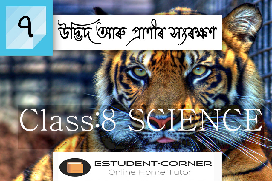 Class 8 SCIENCE Lesson 7 class-8-science-lesson-7