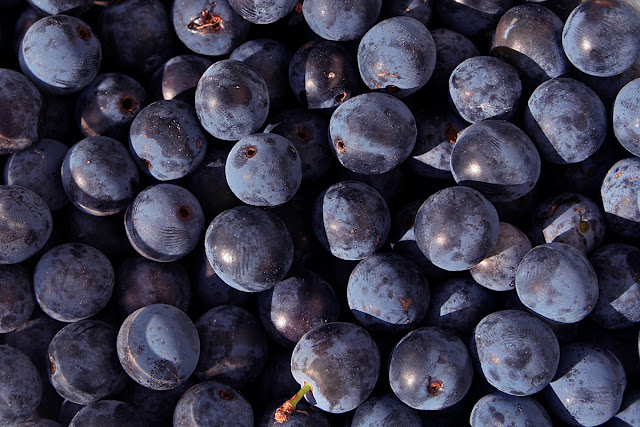 How To Make Sloe Gin - Last year I was given a small bottle of Sloe Gin by a neighbour, not being much of drinker I had never tried it before and it was really quite delicious if a little on the strong side! So being a lover of all things home made I knew it was definitely something I would like to try myself, well, once I had located a blackthorn hoard that is! 