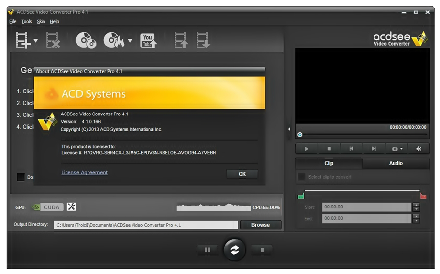 Про конвертеры. ACD Pro. ACDSEE Pro 4. Аналог в видео конвертер. Video Converter Pro 11 ключ активации.