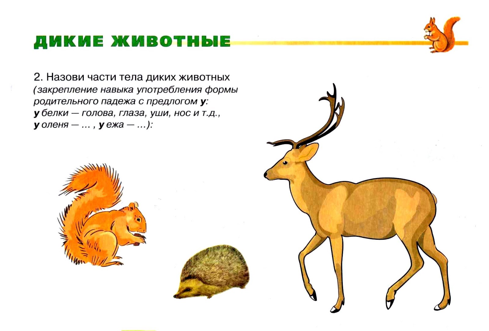 О диких животных для дошкольников
