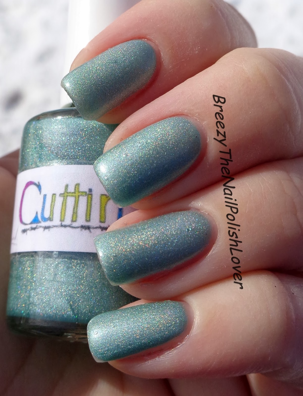 BreezyTheNailPolishLover Cutting Edge Nails Frozen Collection Review!