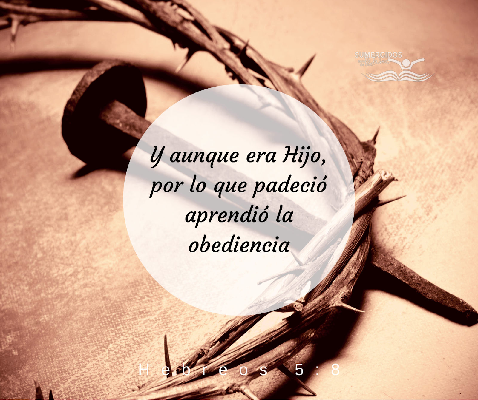 hebreos-5-8