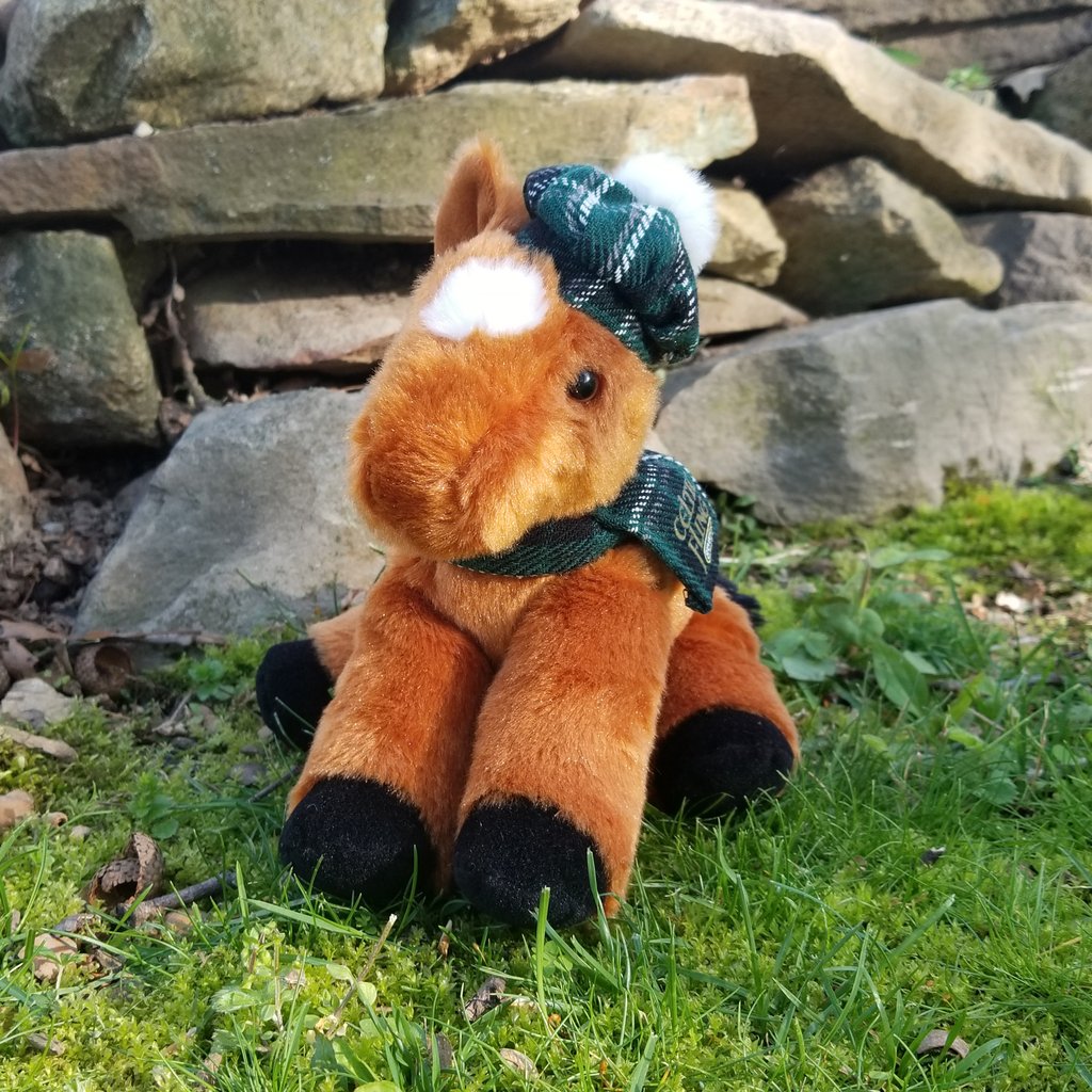 Model Horse Madness Plush reveal and swag preorders!