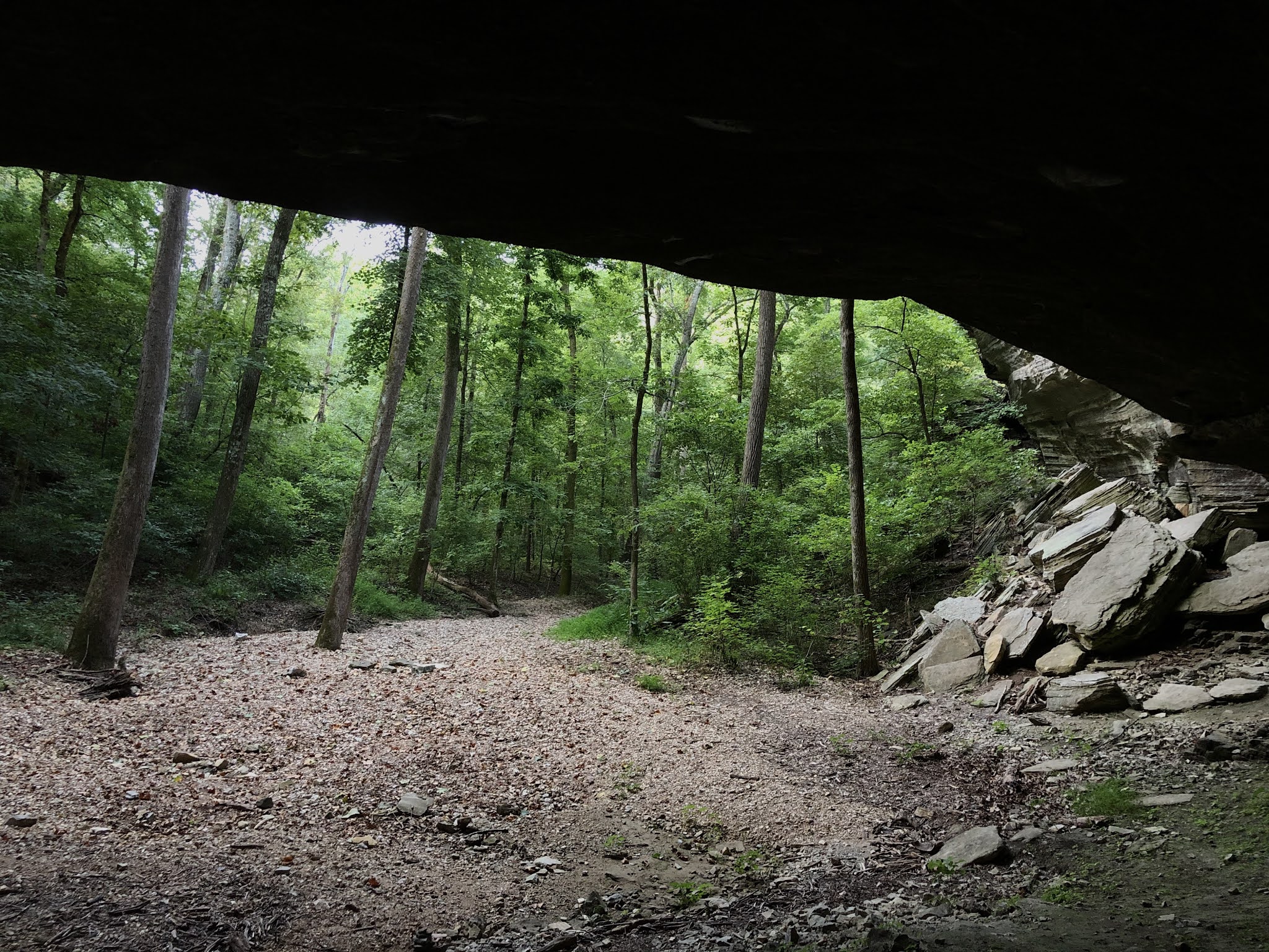 Tea Kettle Falls Trail, Huntsville, Arkansas