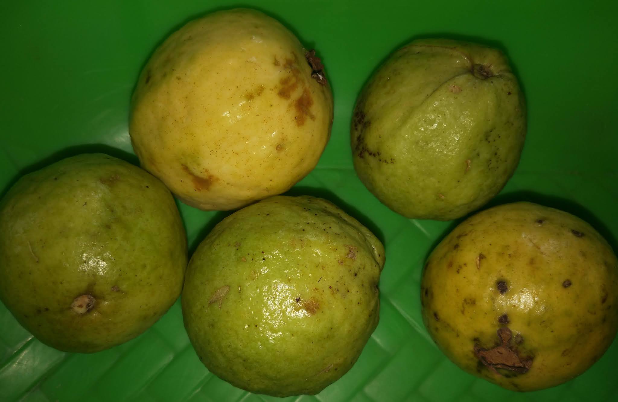 know about kannada and Karnataka Fruit Names in kannadaEnglish