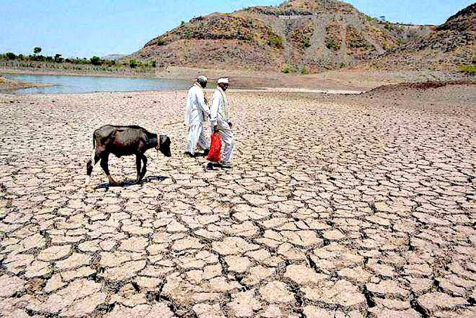 Climate Change, Land Degradation and the Loss of Agricultural Land જળ, જમીન અને જંગલને બચાવવું