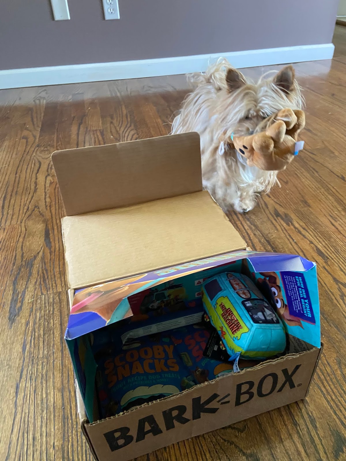 New SCOOB! Movie Barkbox Edition Fashion meets Food