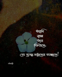 bangla quotes romantic 2020