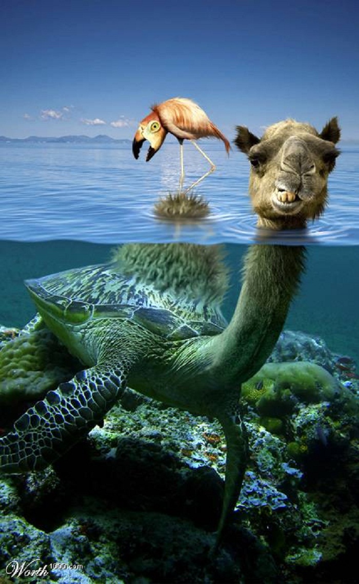 Животные будущего картинки