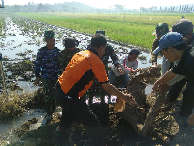 Kiprah TNI Polri Dan Warga Pada TMMD Reg 105 Kodim Klaten