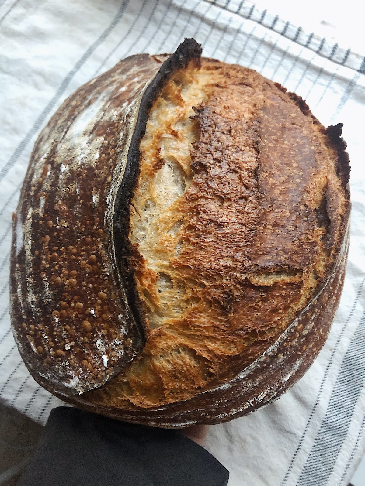 Sourdough Bread Class in Stockholm, 22 February 10am4pm The Recipe