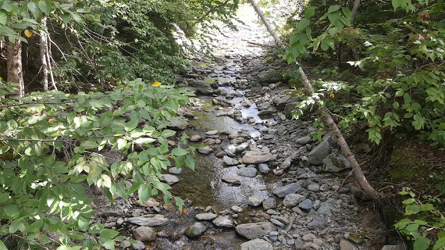 Cours d'eau au début du sentier pédestre Massif du Sud