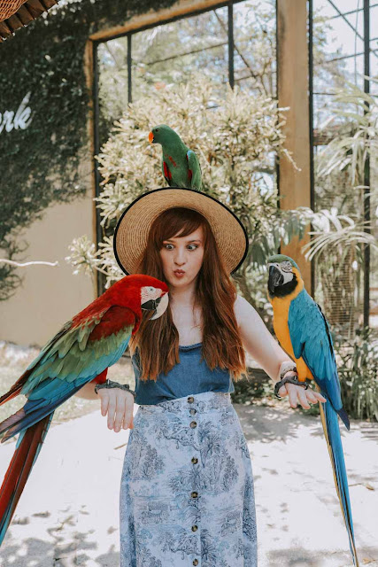 Bali Bird Park egzotičnih ptica  Bali Bird Park egzotičnih ptica