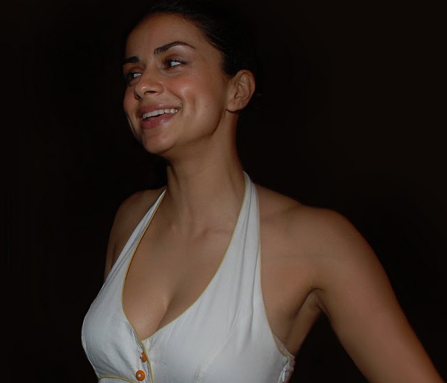 hot celebrities pics bollywood hot actresses gul panag sexy pics,hot photos and hot wallpapers showing her big breasts boobs