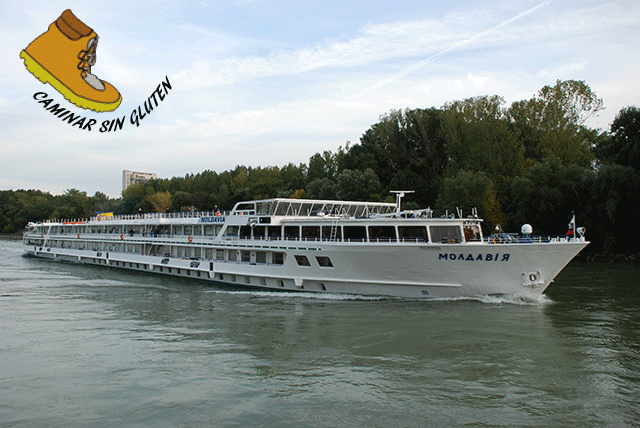 Crucero fluvial navegando por el río Danubio