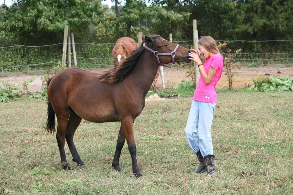 Mill Swamp Indian Horse Views Hill Work With a Yearling