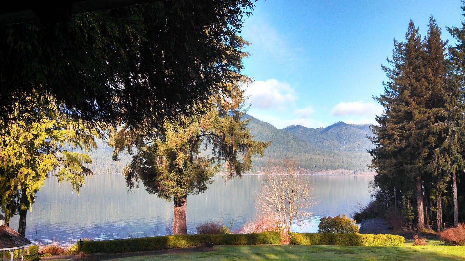 Bellamere Cottage Lake Quinault Lodge