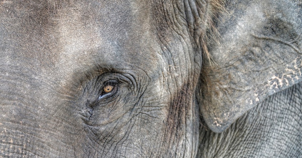 Forgive but never forget essay picture