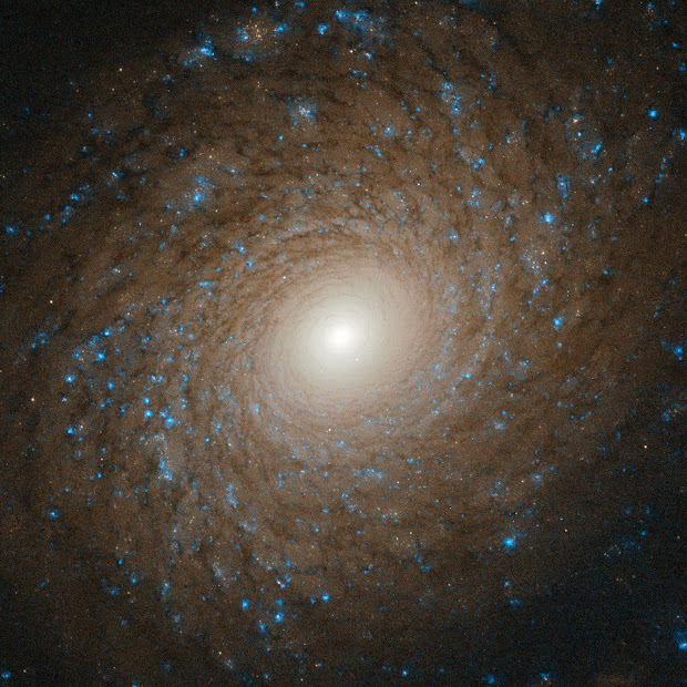 Spiral Galaxy NGC 2985