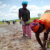 Women struggle to secure land rights in Ghana