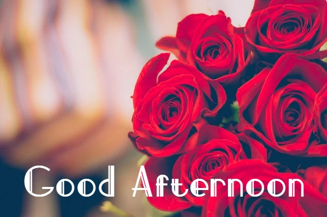 Good Afternoon HD Image Good Afternoon HD Image