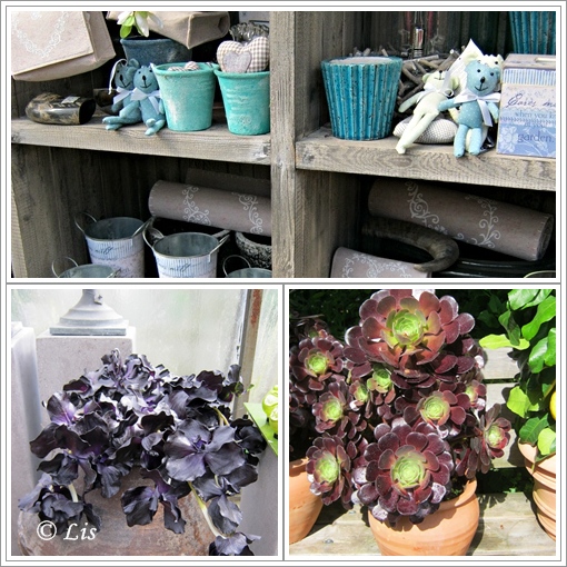 Neues Vom Lindenhof Gartentraume In Solingen