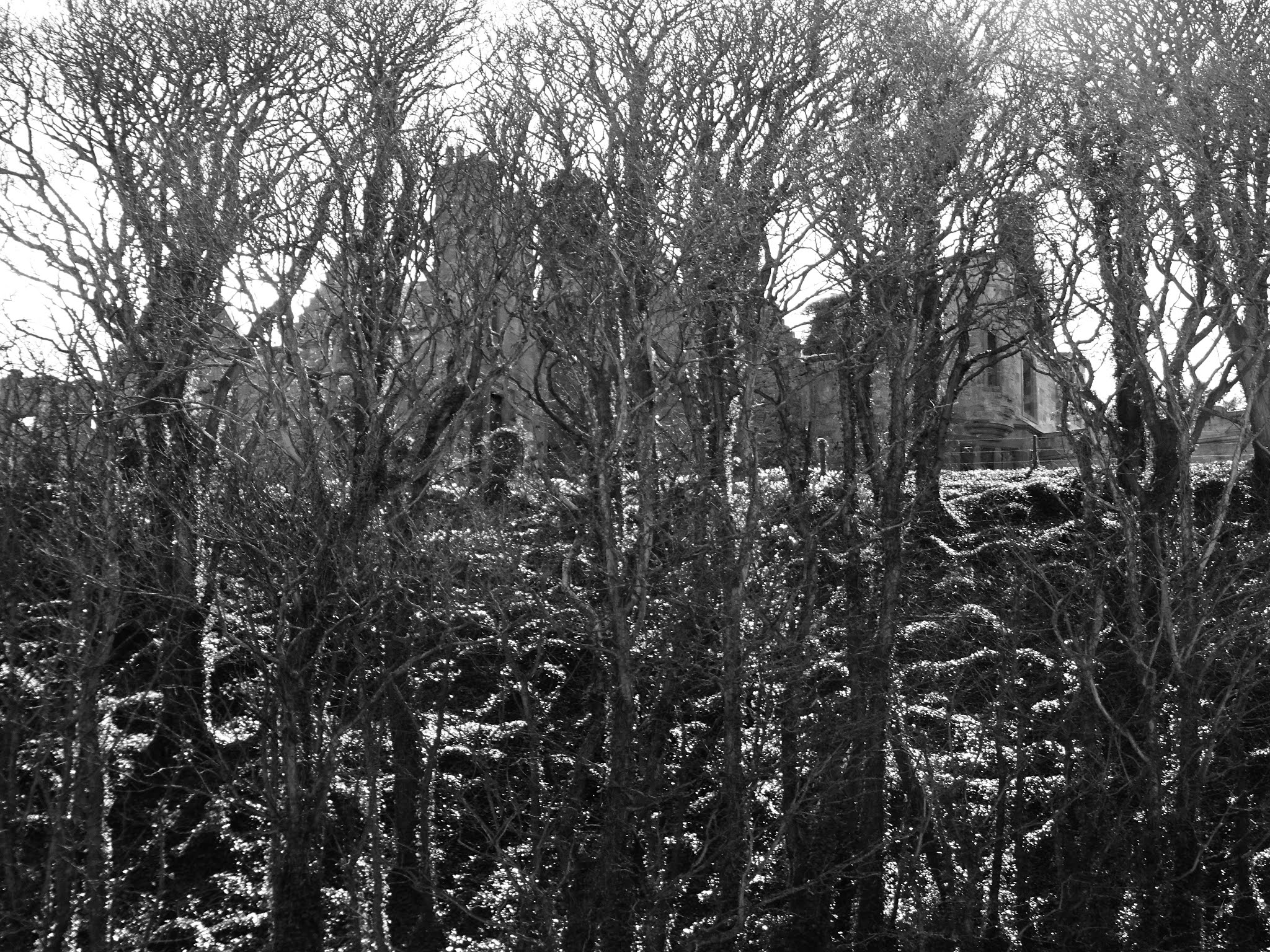 Kevin Nosferatu Skulferatu 30 Seacliff House, North Berwick, East