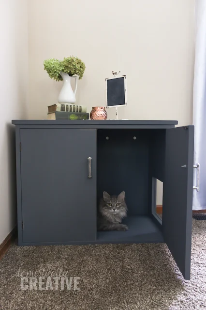repurpose cabinet for cat litter