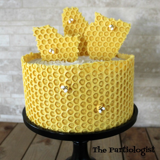 The Partiologist Cake!