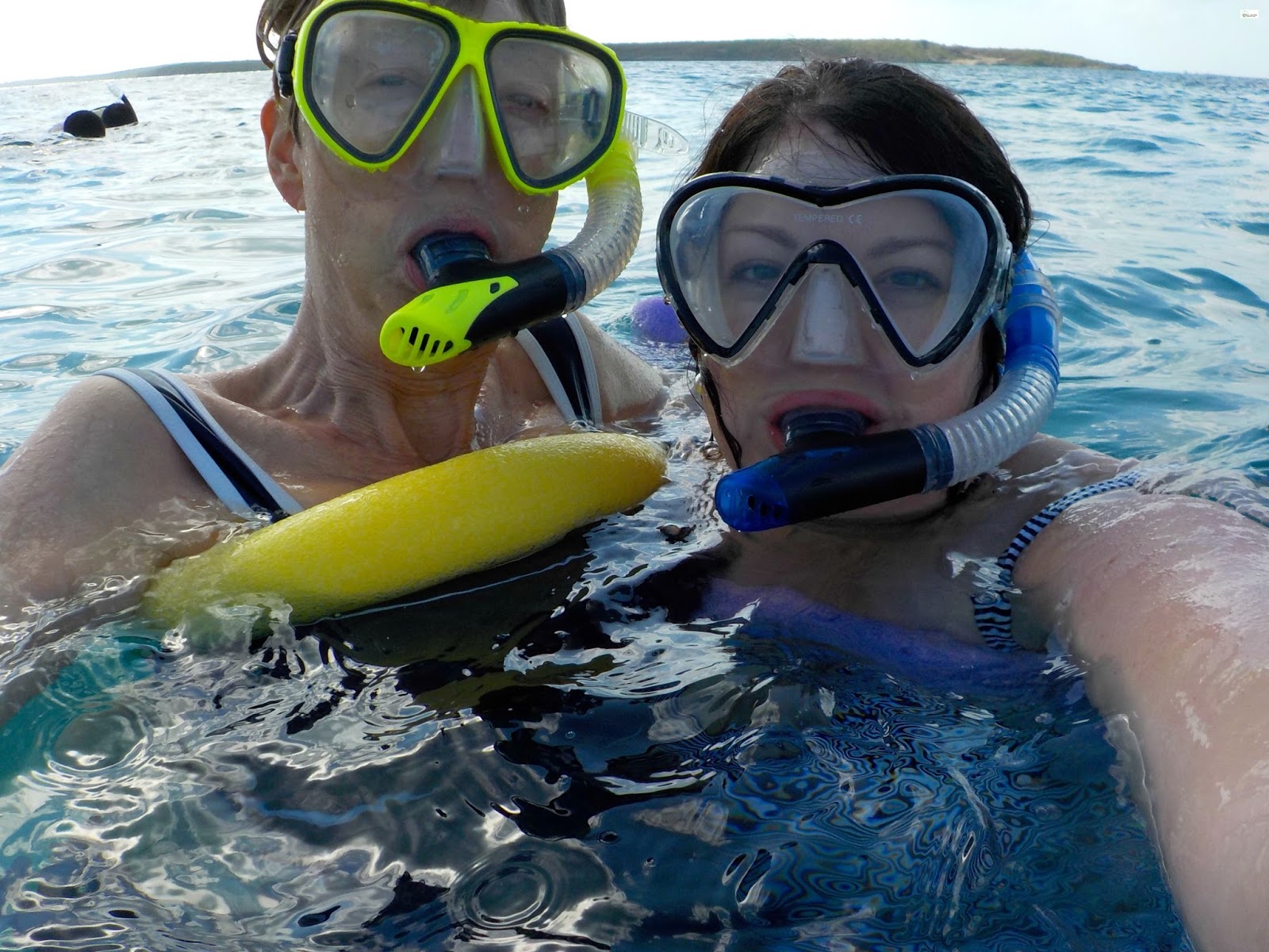 Reef Snorkeling and Sandbar Getaway Port Excursion, Coco Cay Caravan