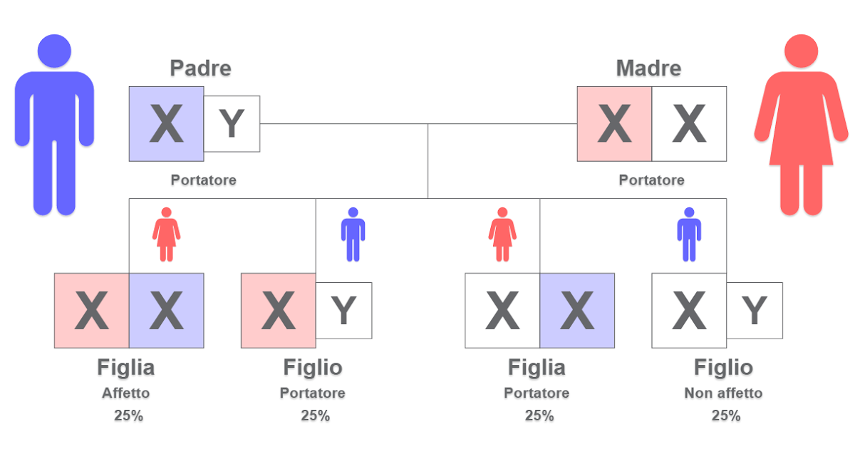 Il gene del diavolo 7. Come si trasmette la fibrosi cistica