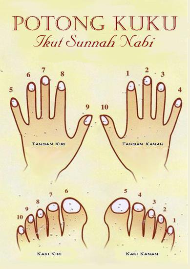 Urutan Memotong Kuku Dan Cara Memotong Kuku Yang Benar Sesuai Sunnah, Ingin Sehat? Praktekkan!