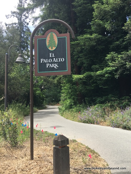 entrance to El Palo Alto Park in Palo Alto, California