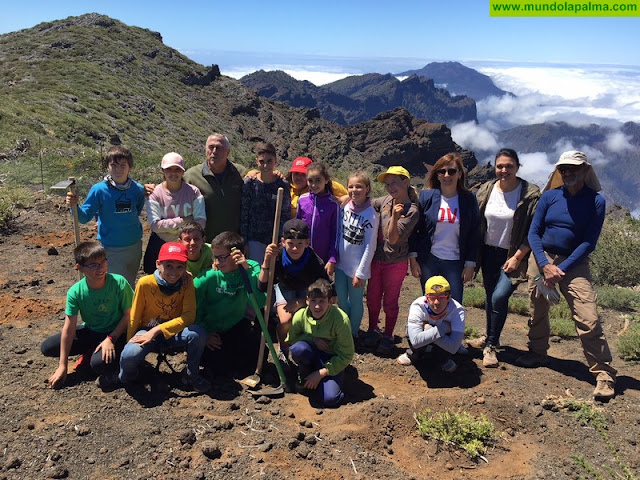 Nieves Lady Barreto supervisa los programas educativos para la repoblación de las cumbres de La Palma