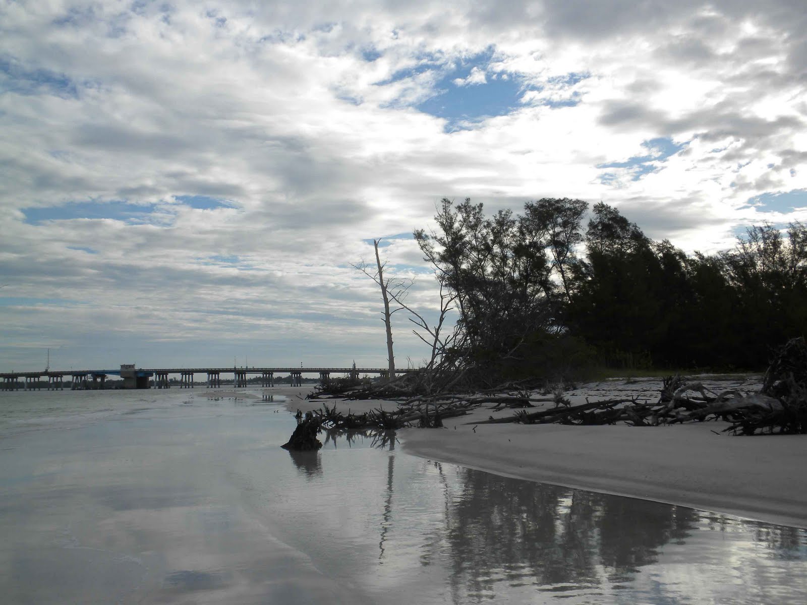 MadSnapper Beer Can Islandwhy we love it