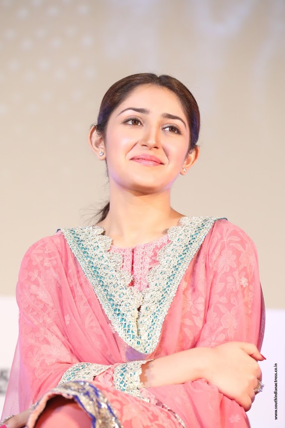 Sayyeshaa Saigal at Junga movie audio launch