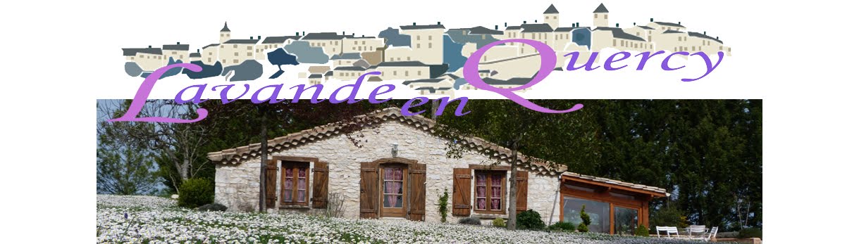 Lavande-en-quercy