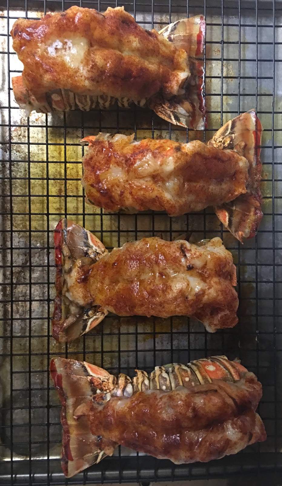 . Warm Water vs. Cold Water Lobster