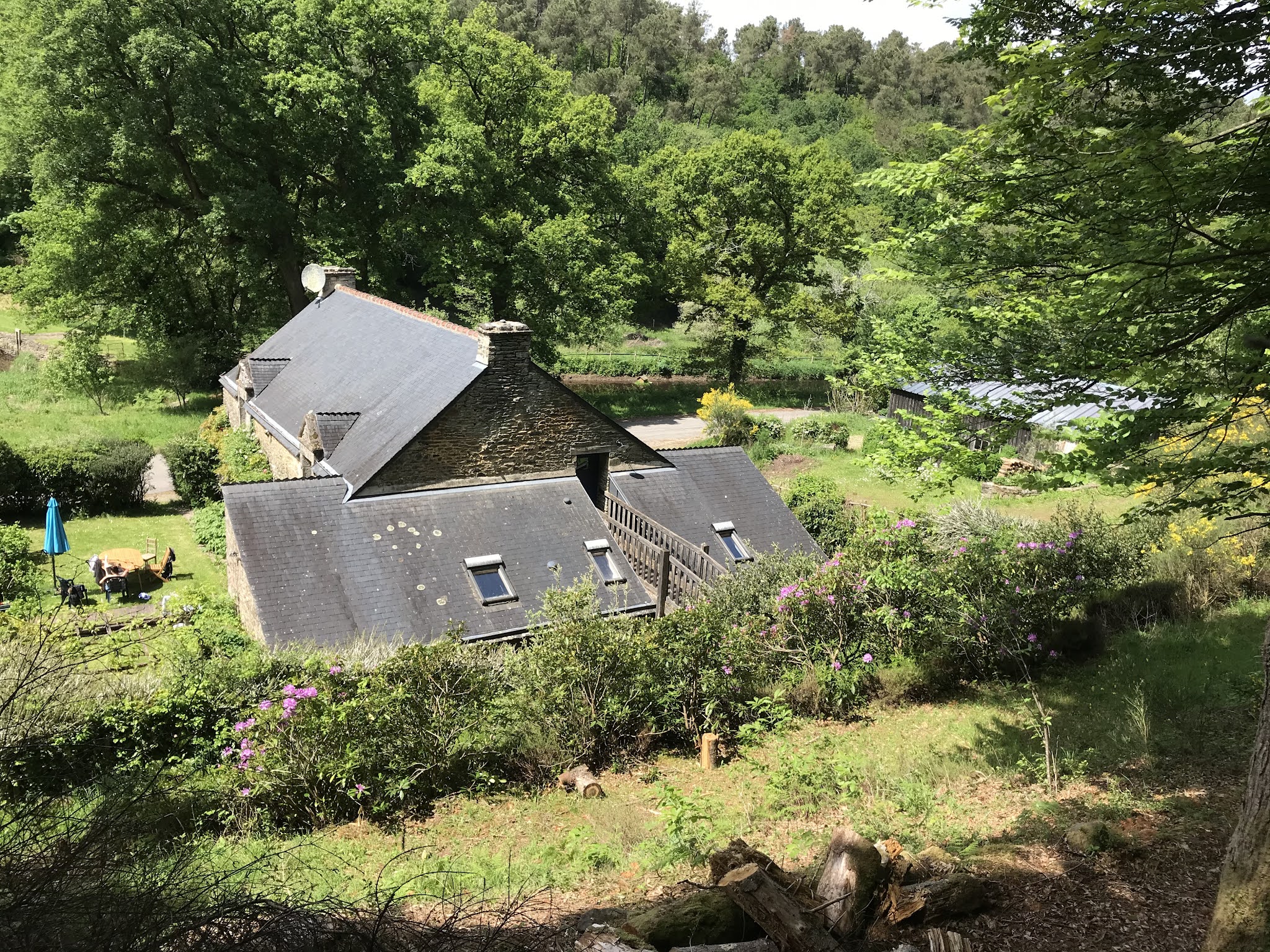 les rencontres du moulin de la foret