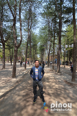 WINTER SONATA AT NAMI ISLAND AND PETIT FRANCE Blog