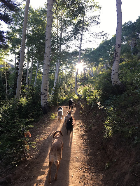 Hiking to Bloods & Lackawaxen Lakes