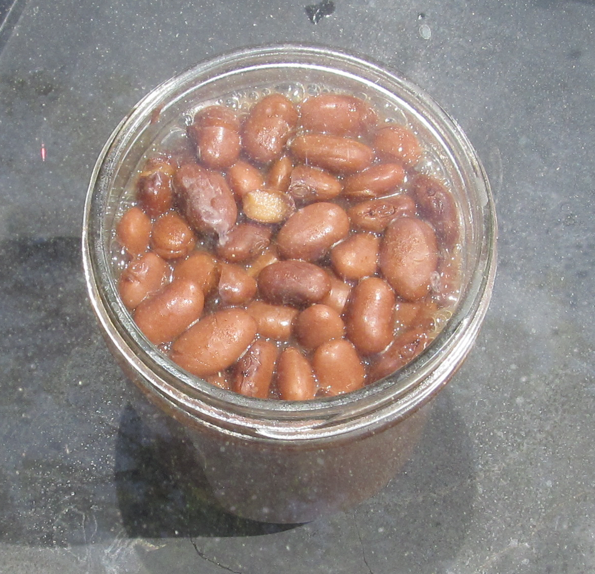 Beans boiling in mason jar in SunOven