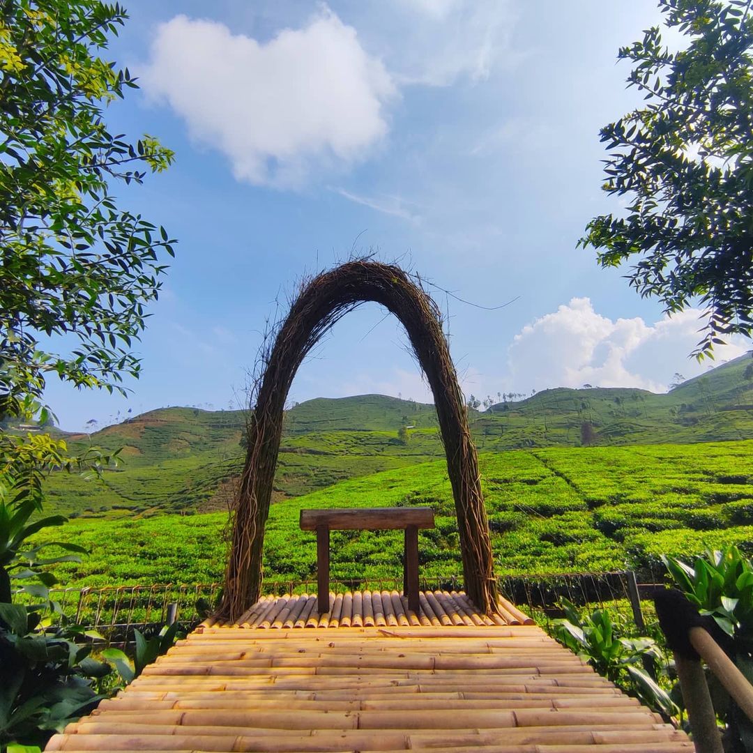 Tempat Wisata di Bogor yang Seru Bersama Anak