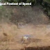 Goodwood Festival of Speed : NISMO R35 GT-R Crash By Chris Hoy